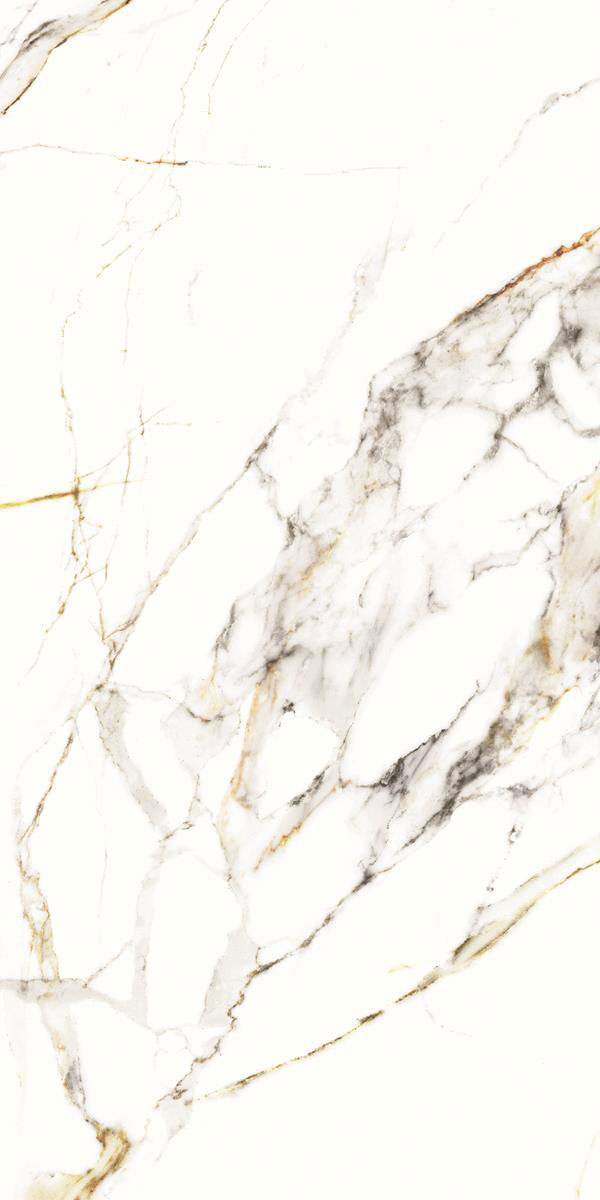 YOKA WHITE P4